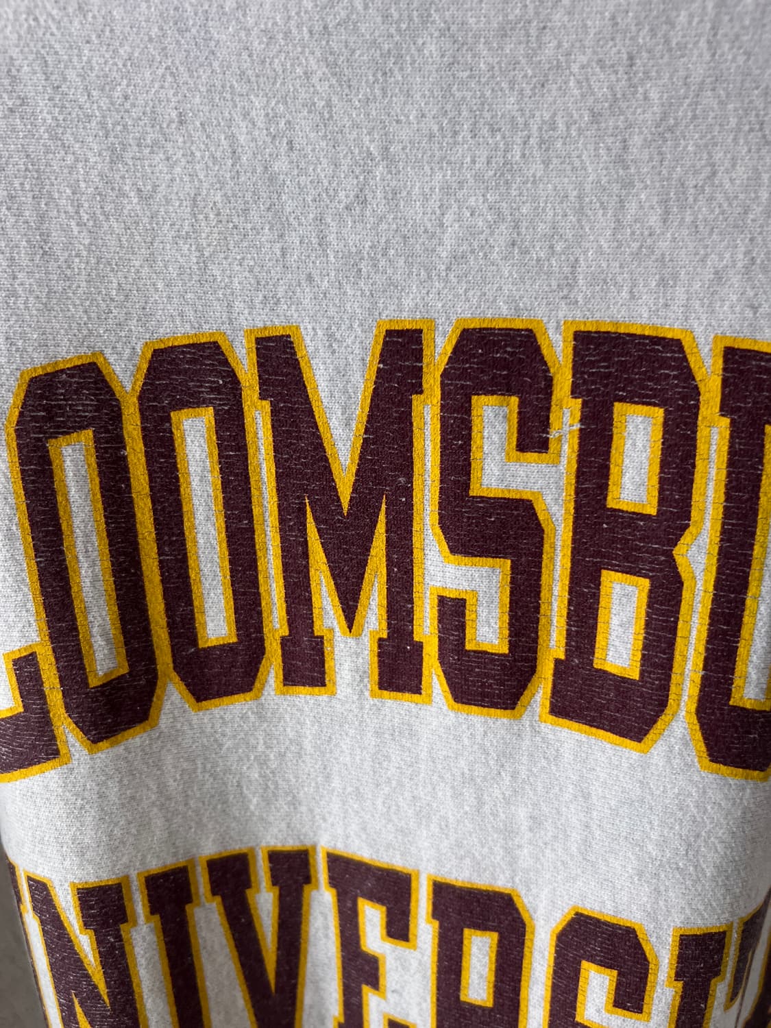[XL]챔피온 USA 리버스위브 BLOOMSBURG 스웻셔츠 상품이미지3