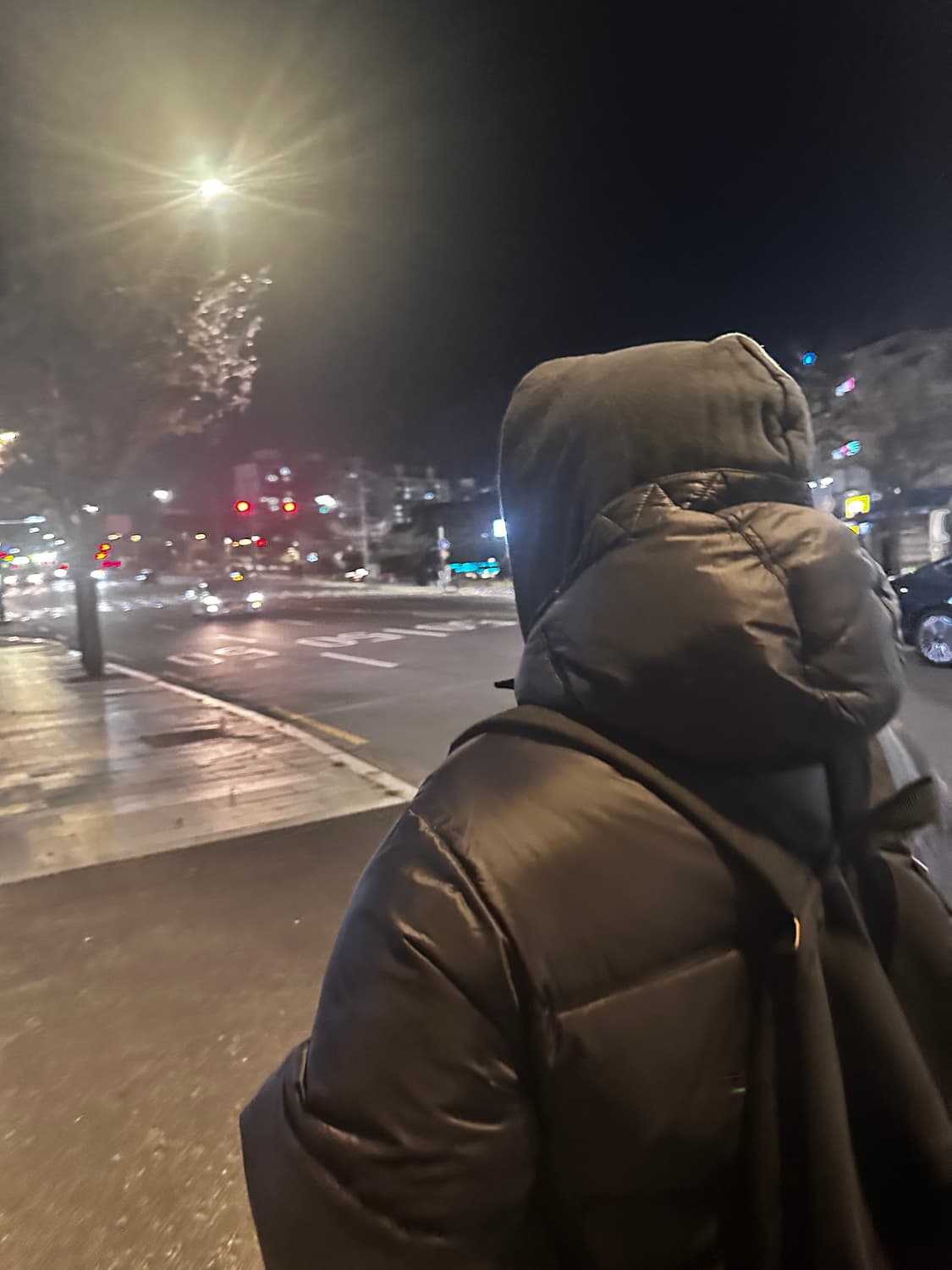 Suede 패딩 L사이즈 (105-110) 상품이미지4