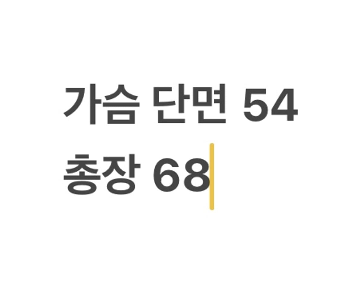 [ 정품/105 ] 파리게이츠 경량 패딩 조끼 b10 상품이미지5