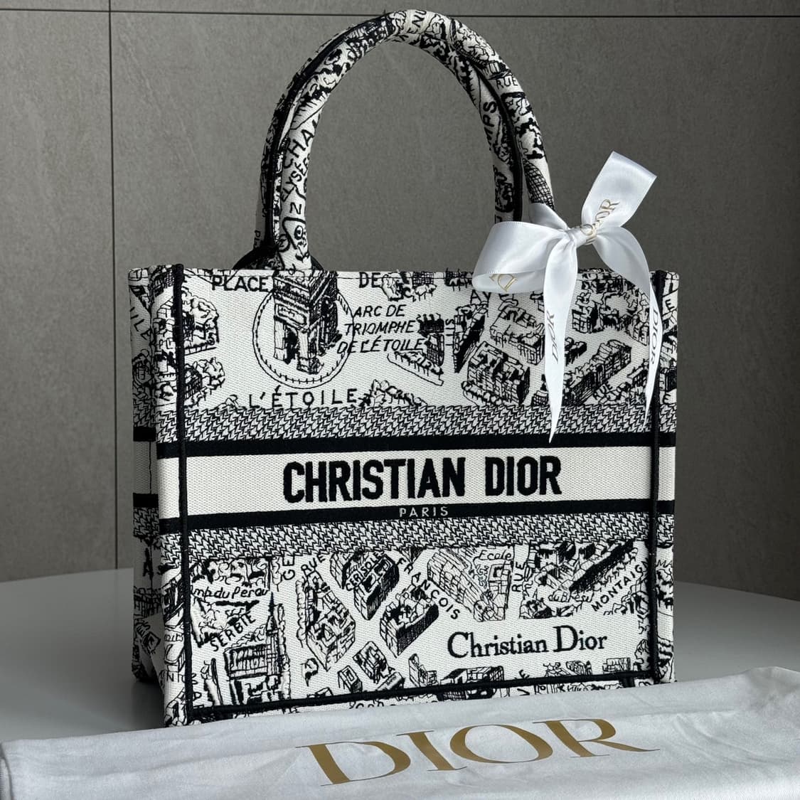 [새상품급] 디올 플랜드 파리 북토트 백 스몰 상품이미지2
