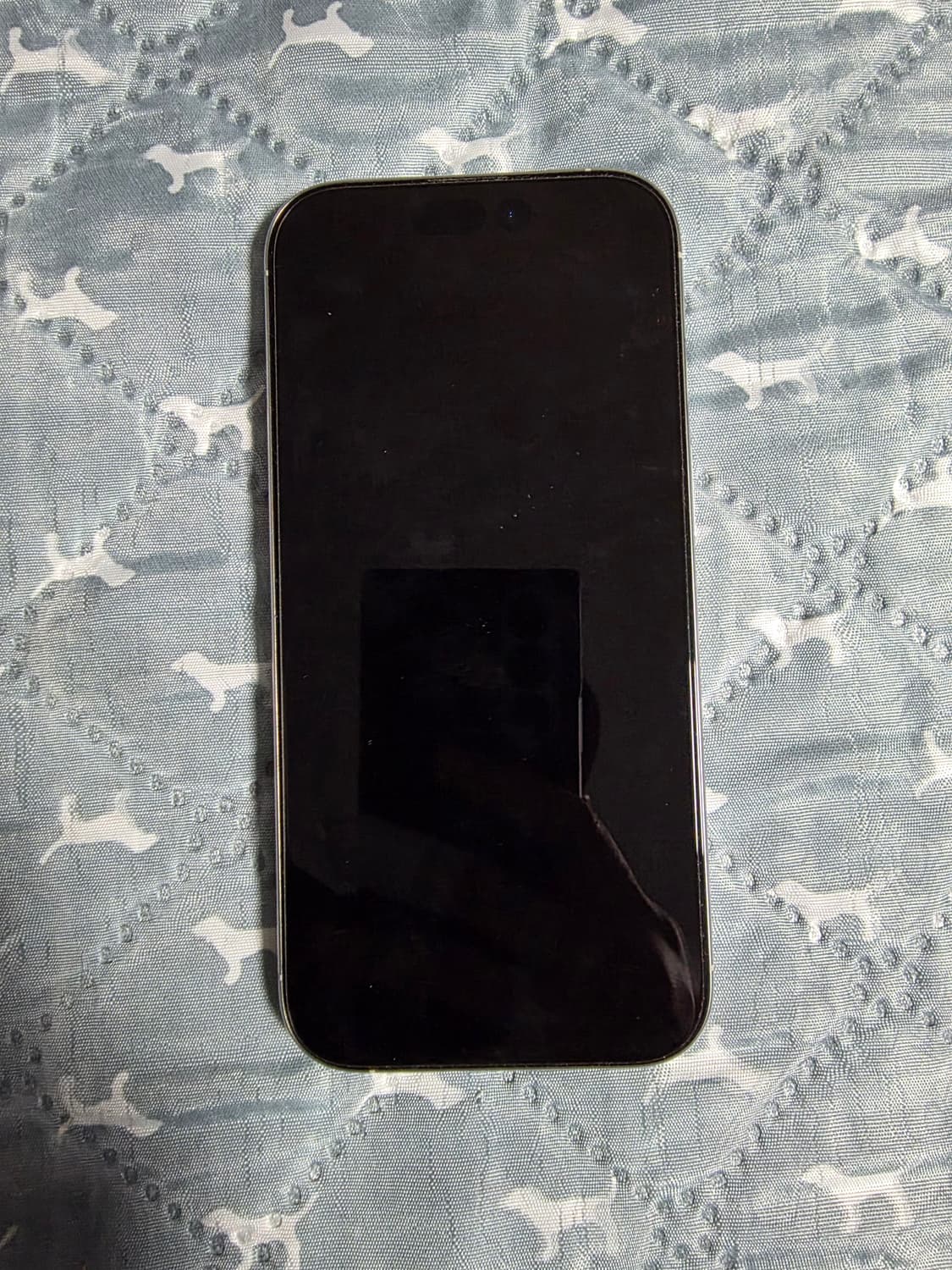 아이폰16프로256화이트 상품이미지2