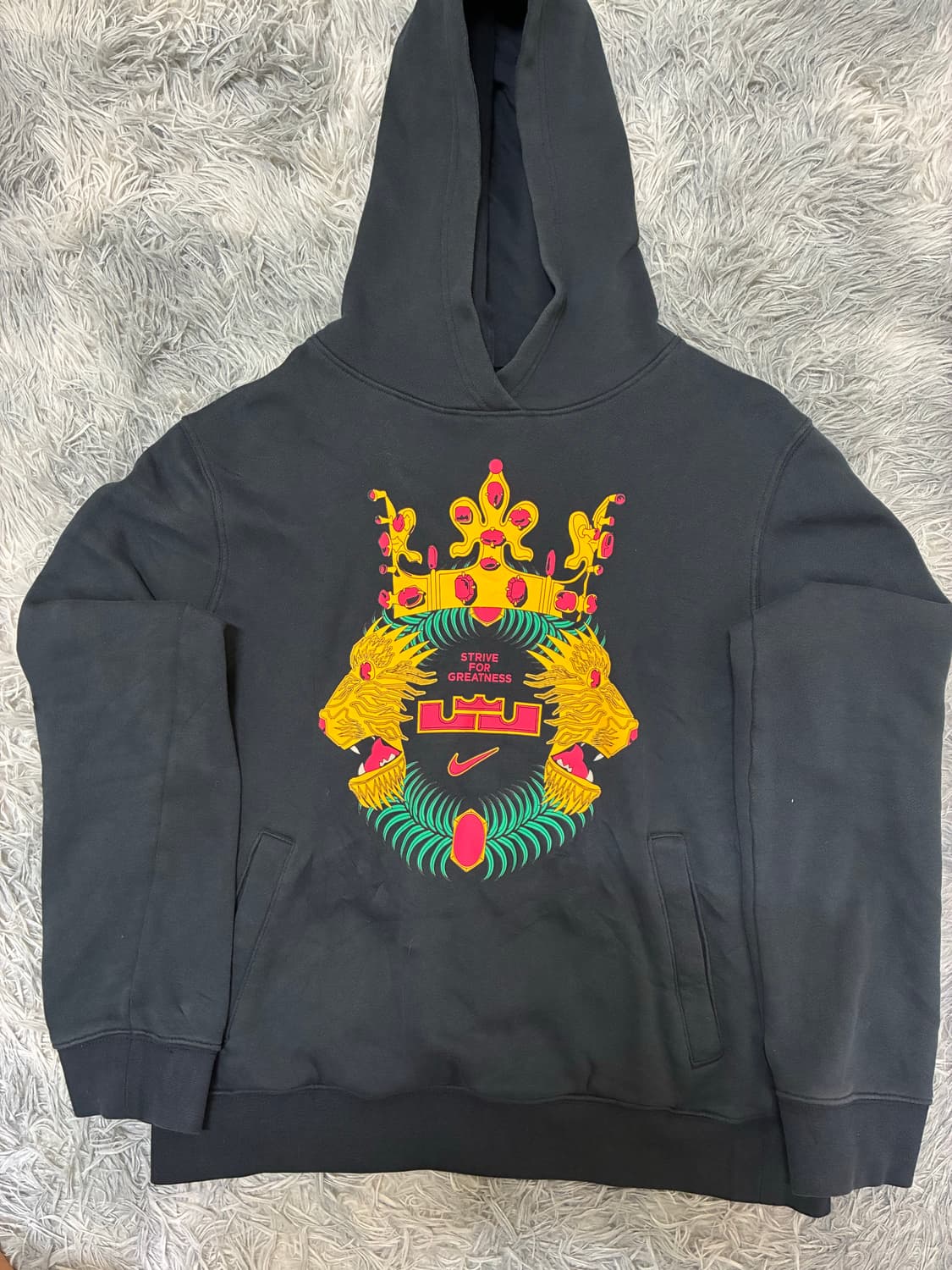 나이키 르브론 제임스 루즈핏 후드티(xl) 상품이미지2