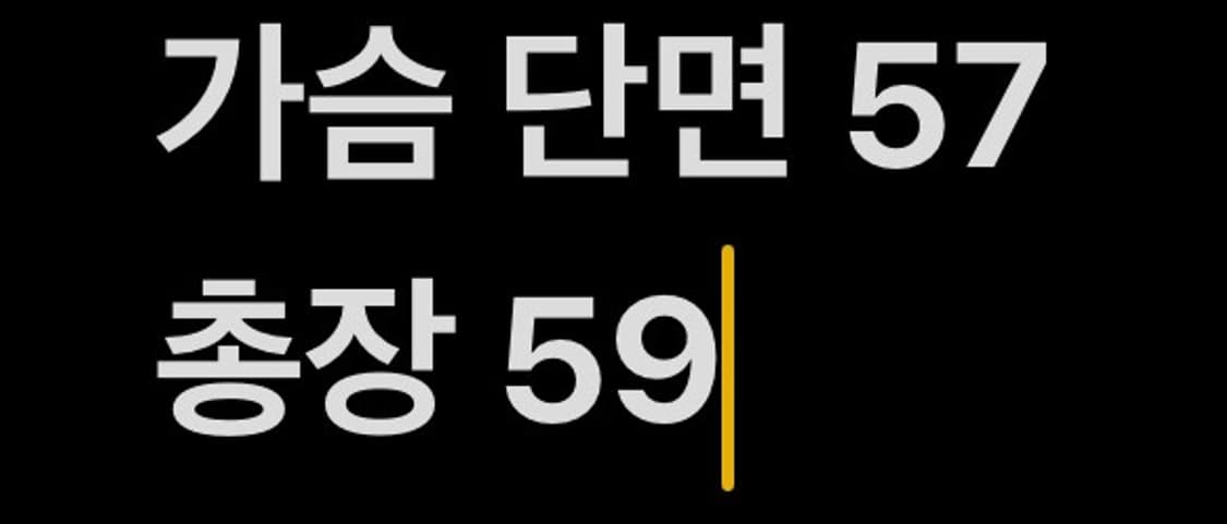 [ 정품 ] 파타고니아 리버시블 후리스 자켓 b8 상품이미지10