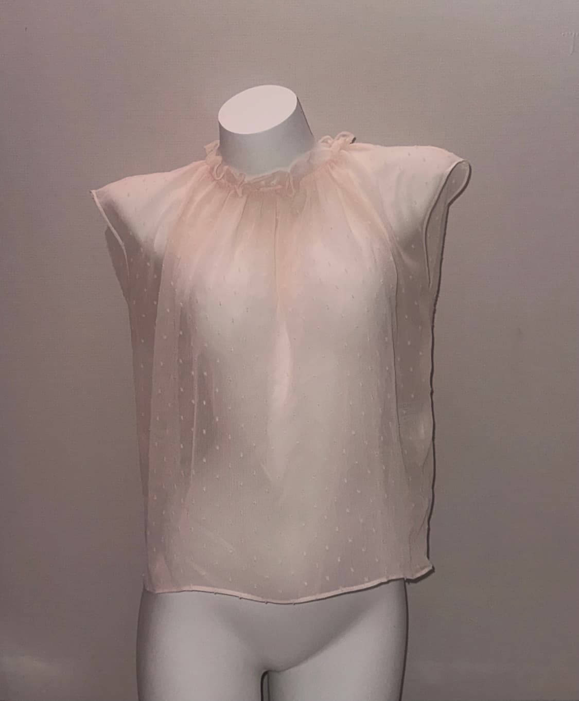 도트 프릴 시스루 블라우스 상품이미지1