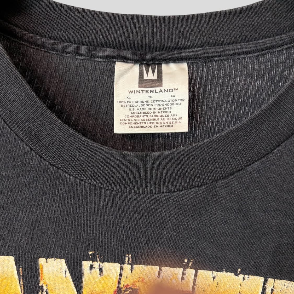 (XL)90s Pantera 판테라 98투어 빈티지 밴드 티셔츠 상품이미지3