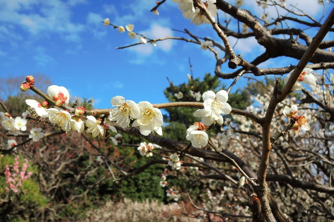 니콘 쿨픽스 Nikon COOLPIX P300 블랙 상품이미지2