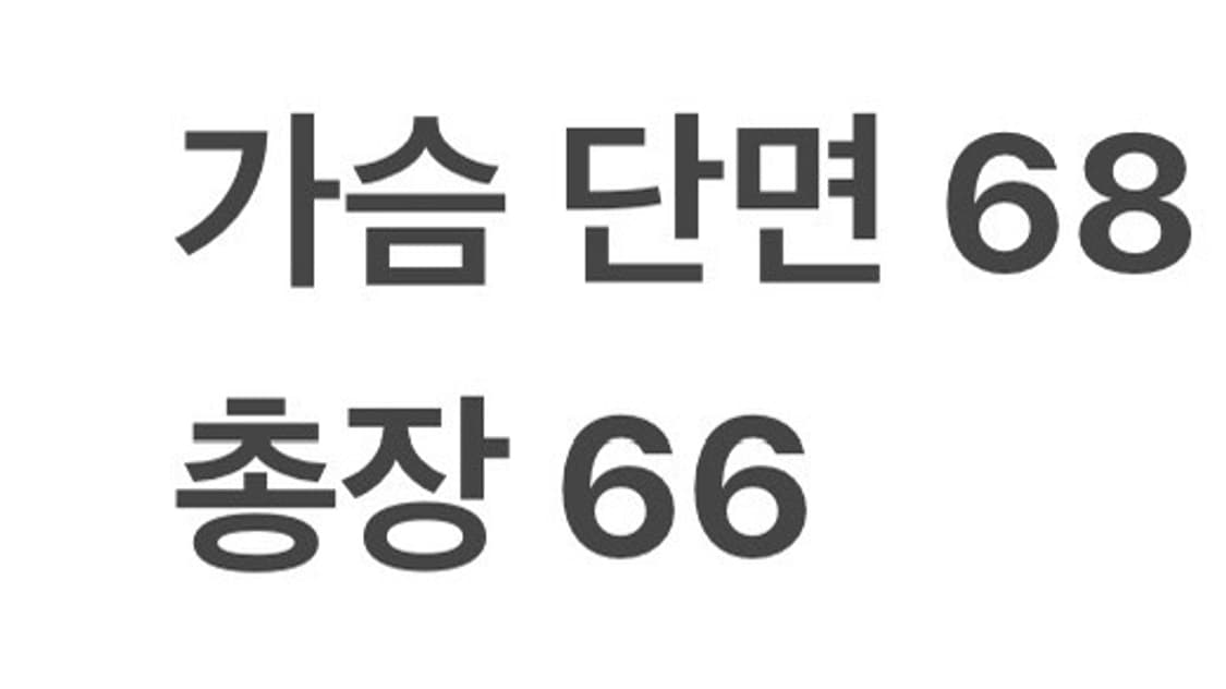 [정품/XL] 나이키 조던 가먼트다잉 하프집업 DNA 아노락 자켓 b17 상품이미지8