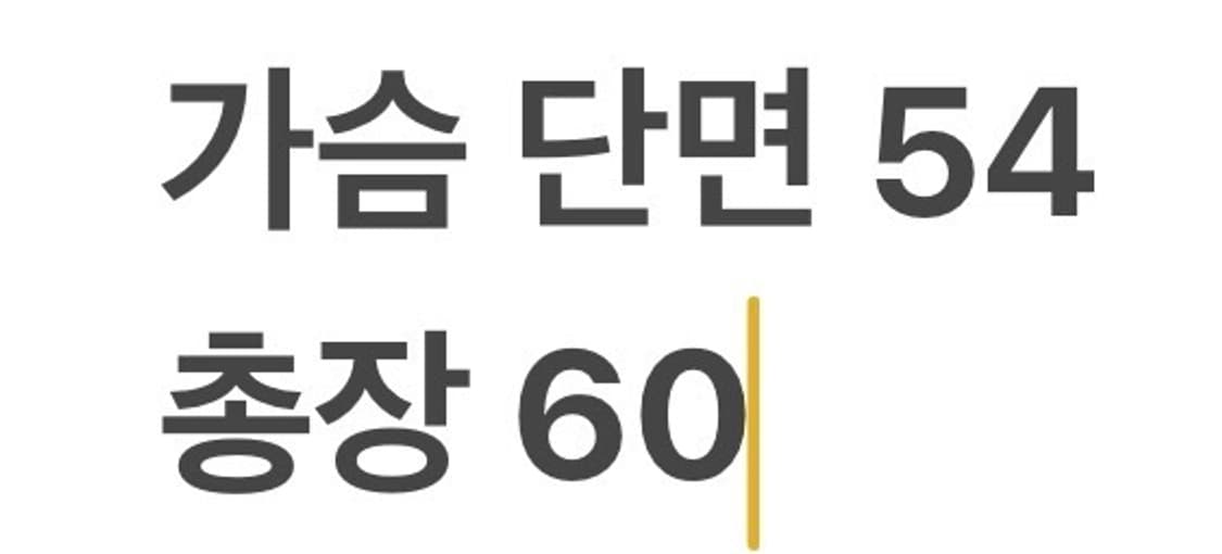 [정품/L] 폴로 랄프로렌 패딩 조끼 네이비 옐로우 b10 상품이미지8
