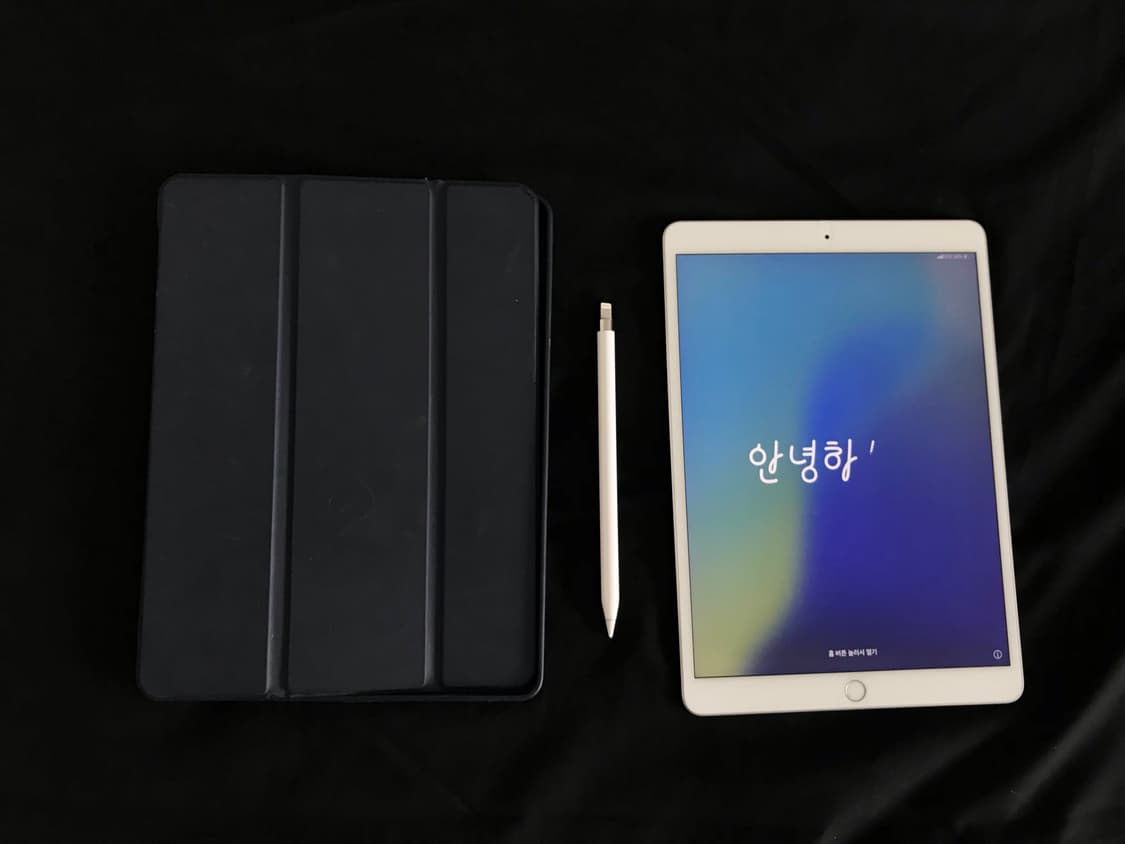 아이패드 에어3 실버 256기가 셀룰러 + 애플펜슬 상품이미지2