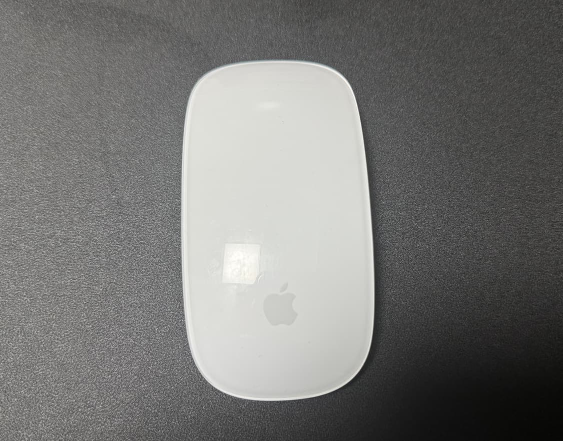 애플 매직마우스2 상품이미지1