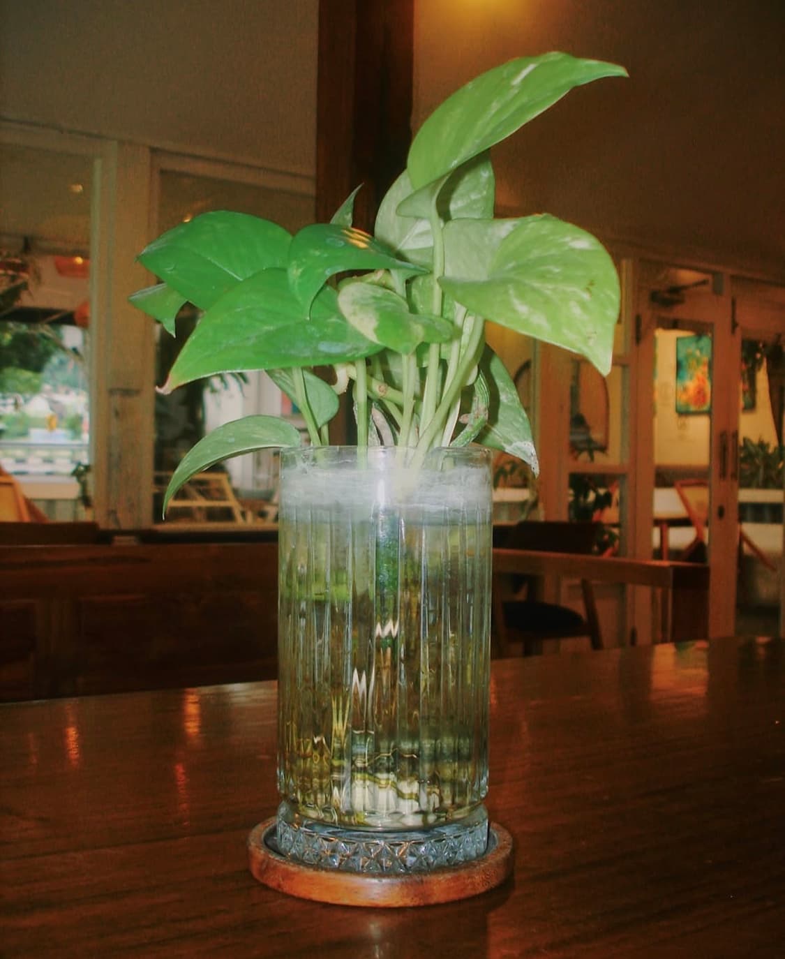 코닥 이지쉐어 c160 디지털카메라 상품이미지10