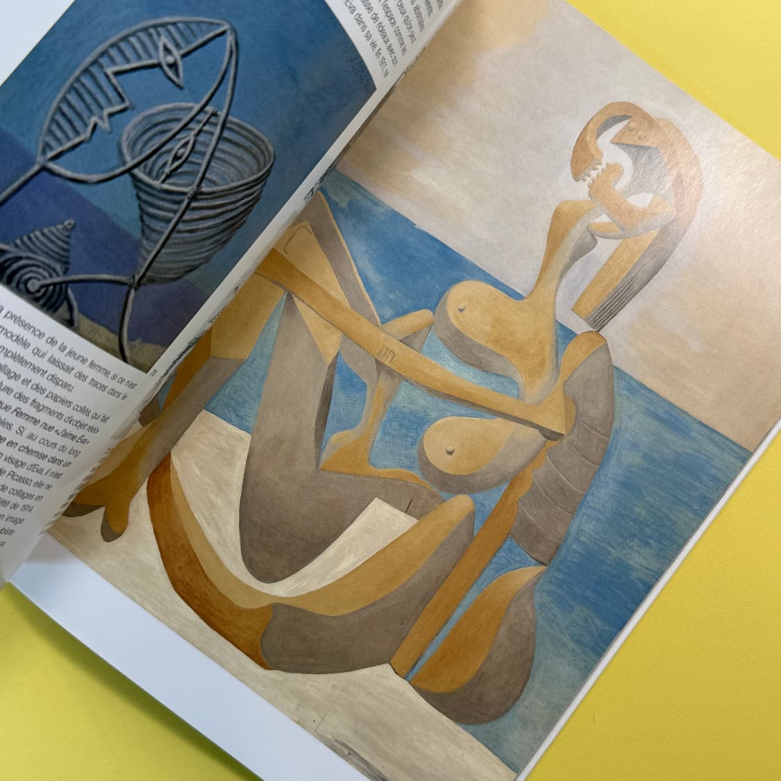 피카소 도록 PICASSO ET LE PORTRAIT 아트북 전시회 미술 상품이미지8