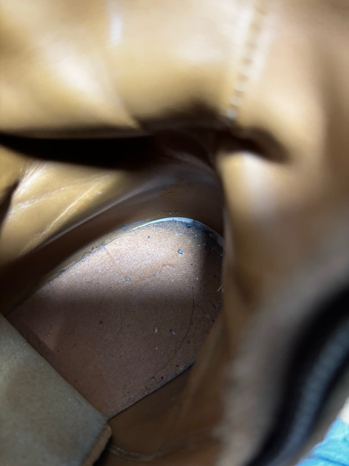 에디시즌 생로랑 하네스 부추 40사이즈 상품이미지10