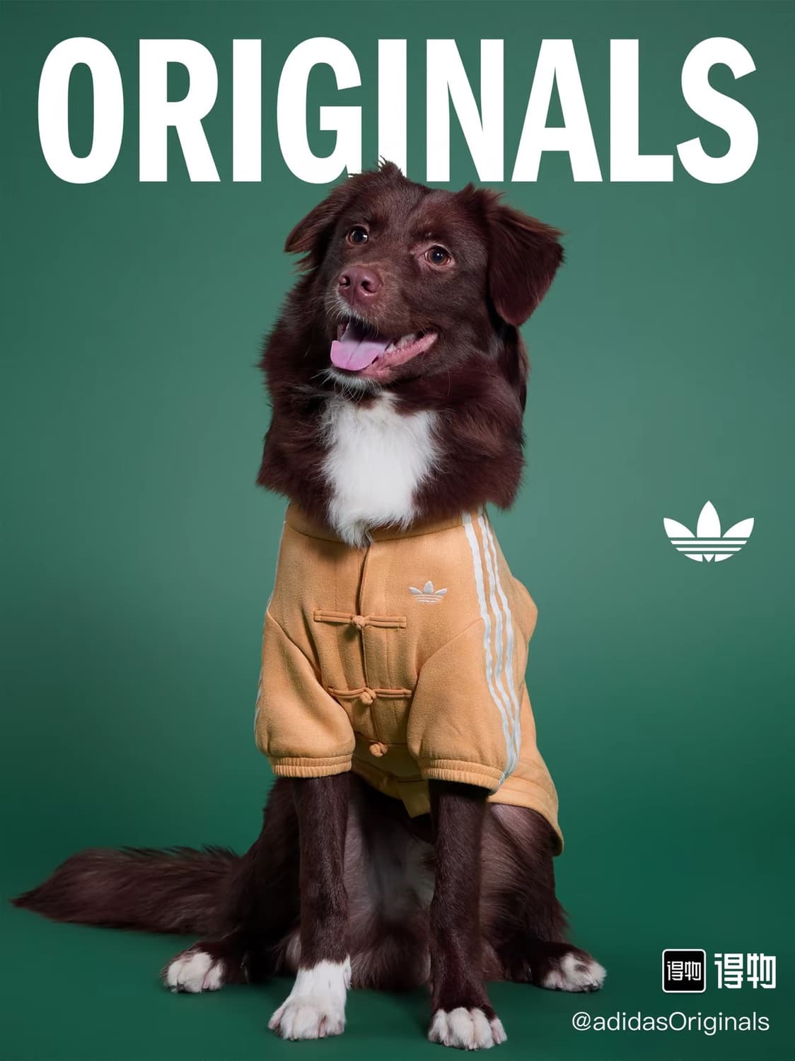 아디다스 강아지 고양이 옷 중티다스 상품이미지3