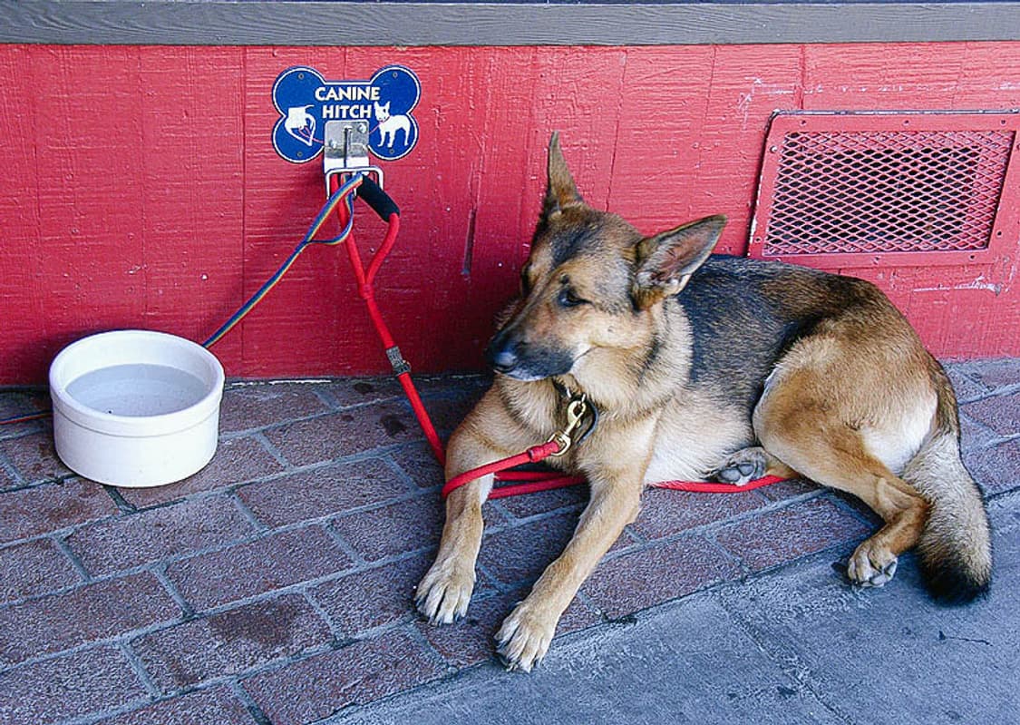 (A급) Kodak EasyShare C713 (코닥 이지쉐어 C713) 상품이미지9