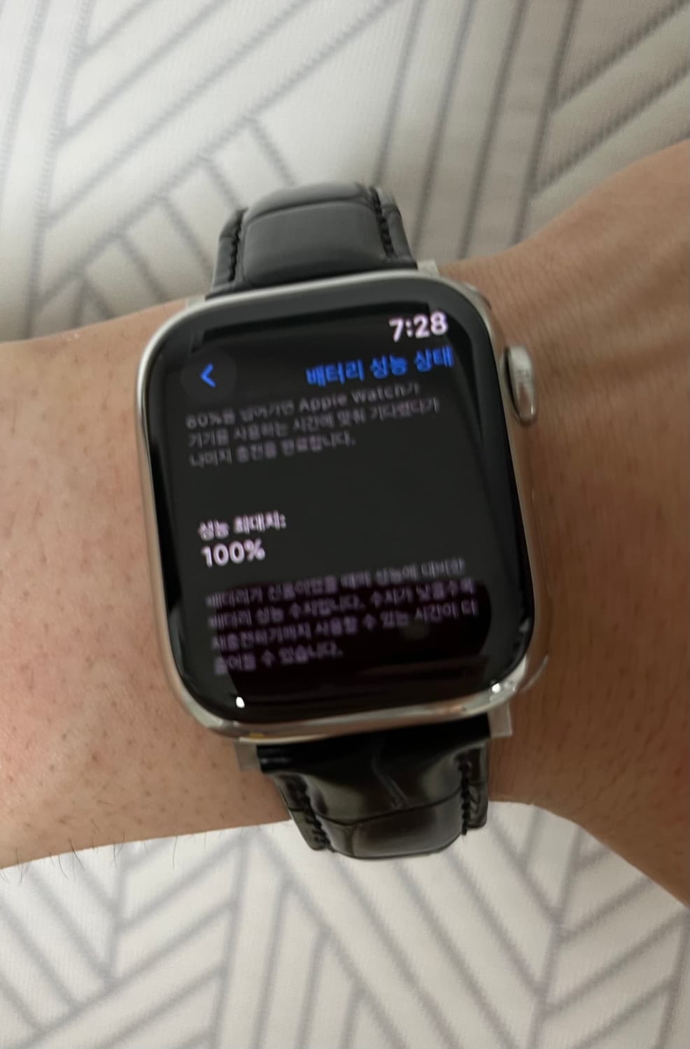 애플워치9 스테인리스 실버 41mm (gps+cellular) 상품이미지8