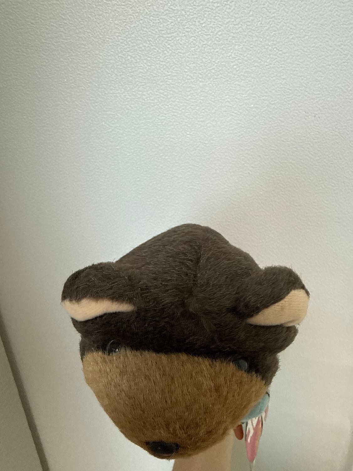 몬치치 홋카이도 곰 상품이미지4