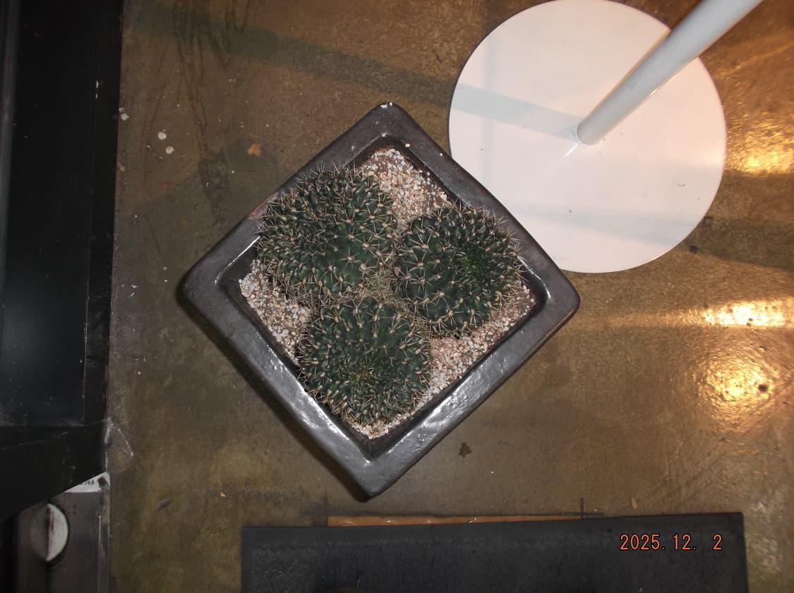 한글/날짜표시/박스O)후지필름 파인픽스 JX550 실버 빈티지디카 상품이미지9