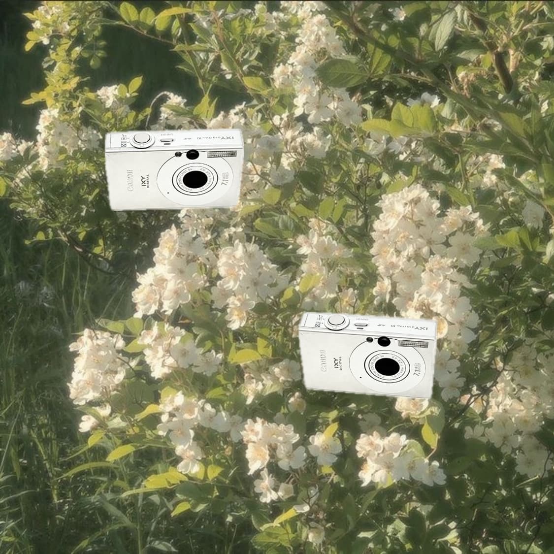 풀박스&프리지아!) Canon IXUS 70 디카 카메라 상품이미지1
