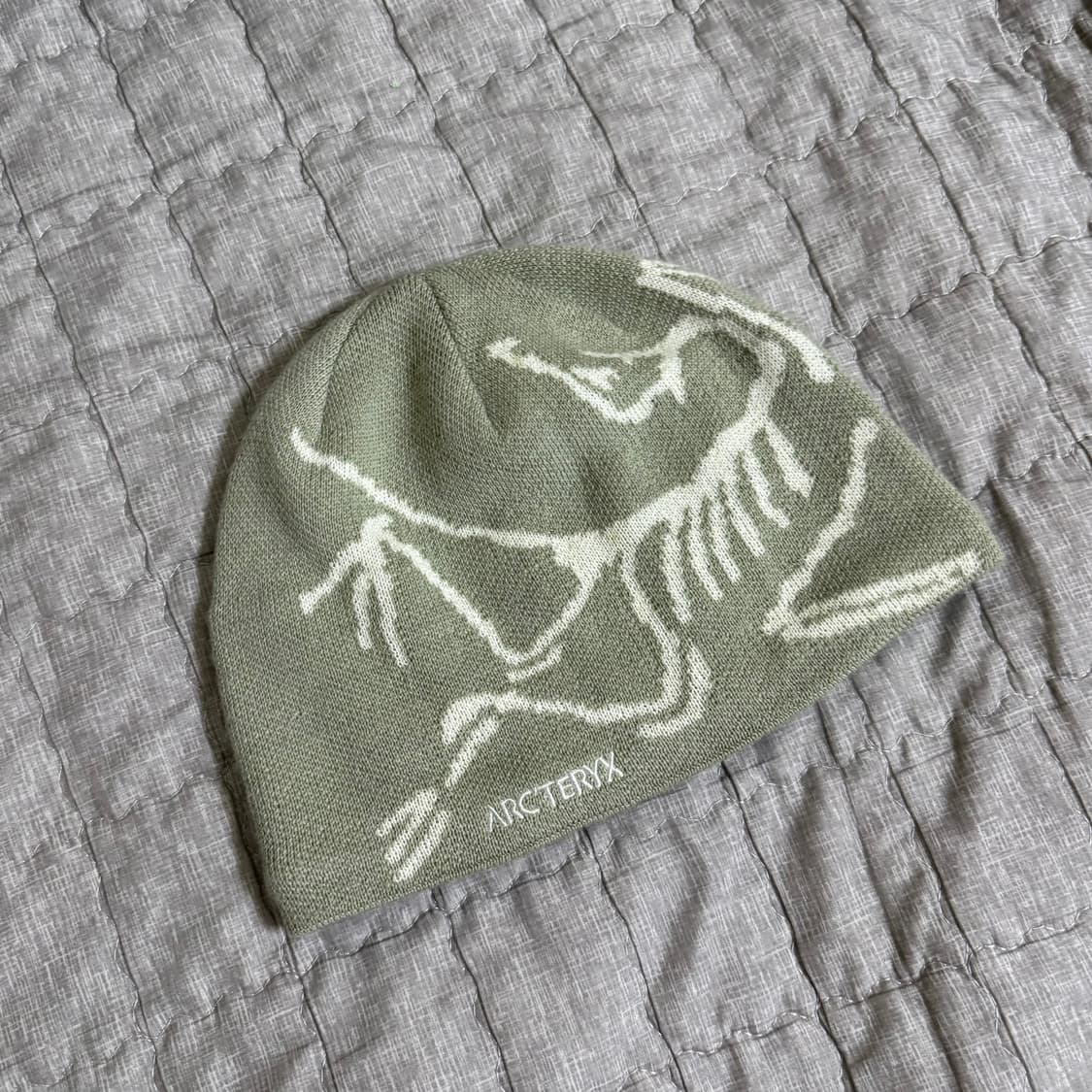 아크테릭스 버드 헤드 토크 해비타트 상품이미지1