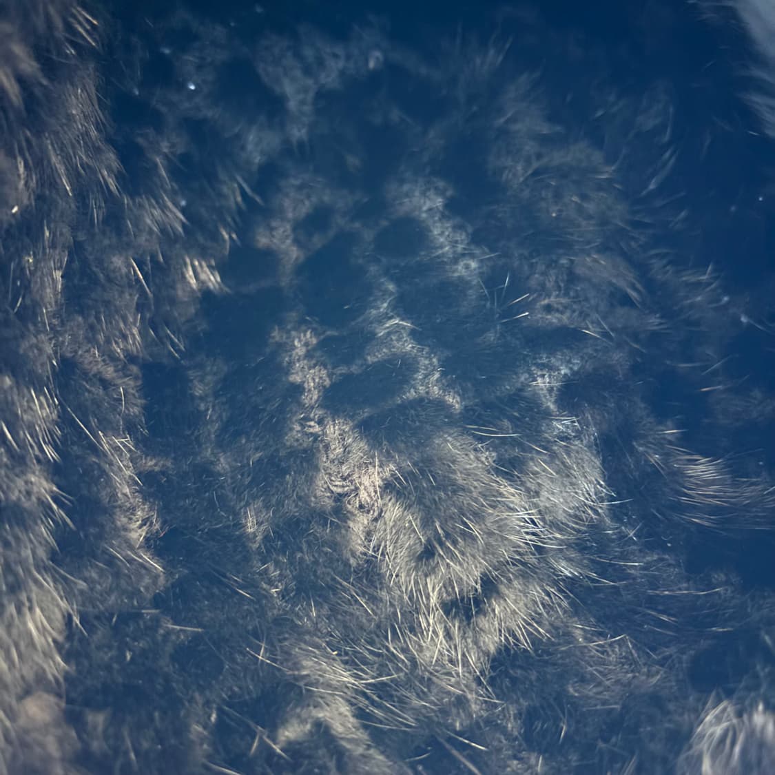 블랙 밍크 비니 Hat 상품이미지5