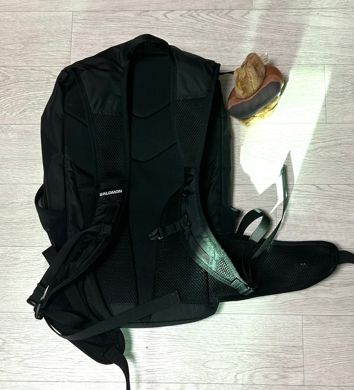 살로몬 트레일블레이저 20 백팩 블랙 상품이미지2