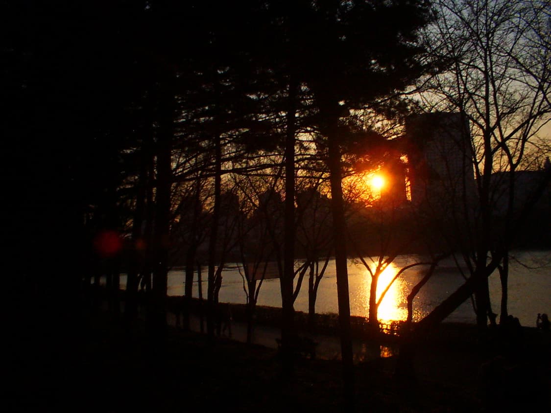 카시오 GV-10 희귀 빈티지 디카 [작례ㅇ] 상품이미지9