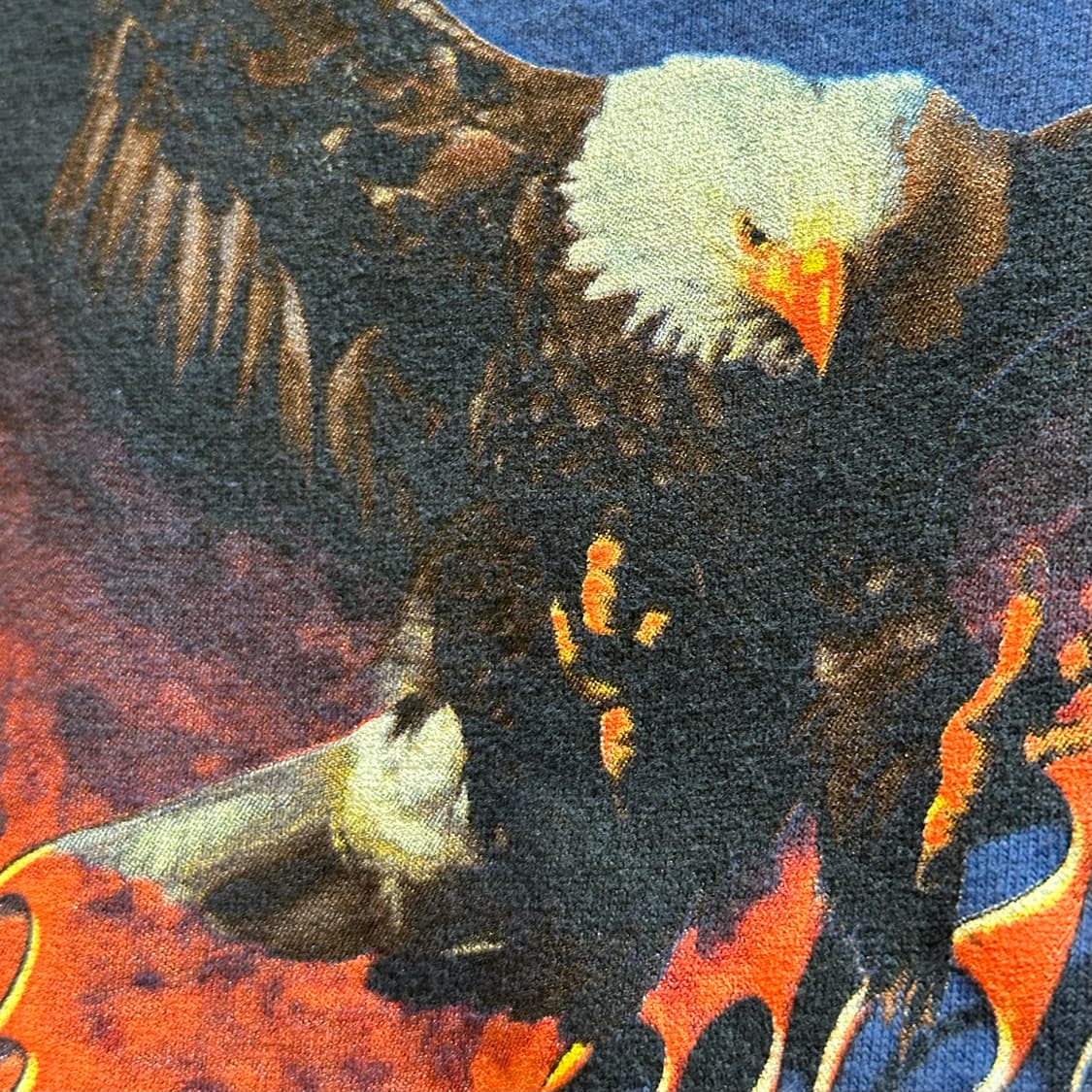 00s Harley-Davidson "Orlando Alligators" 상품이미지1