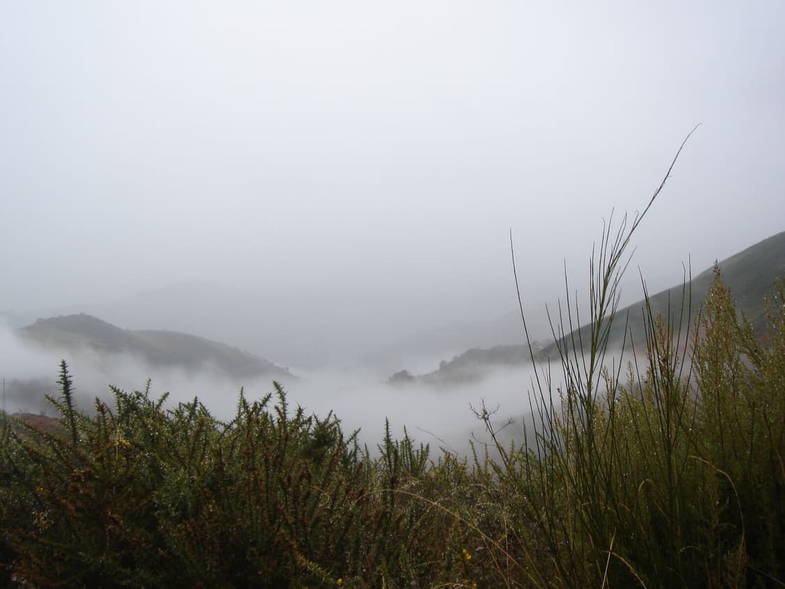 소니 사이버샷 T3 빈티지 디지털카메라  상품이미지6