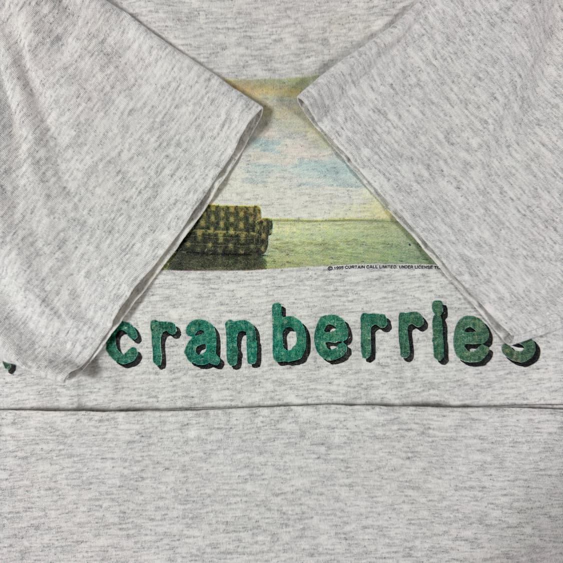 빈티지 90s The Cranberries 크랜베리스 밴드 티셔츠 상품이미지9