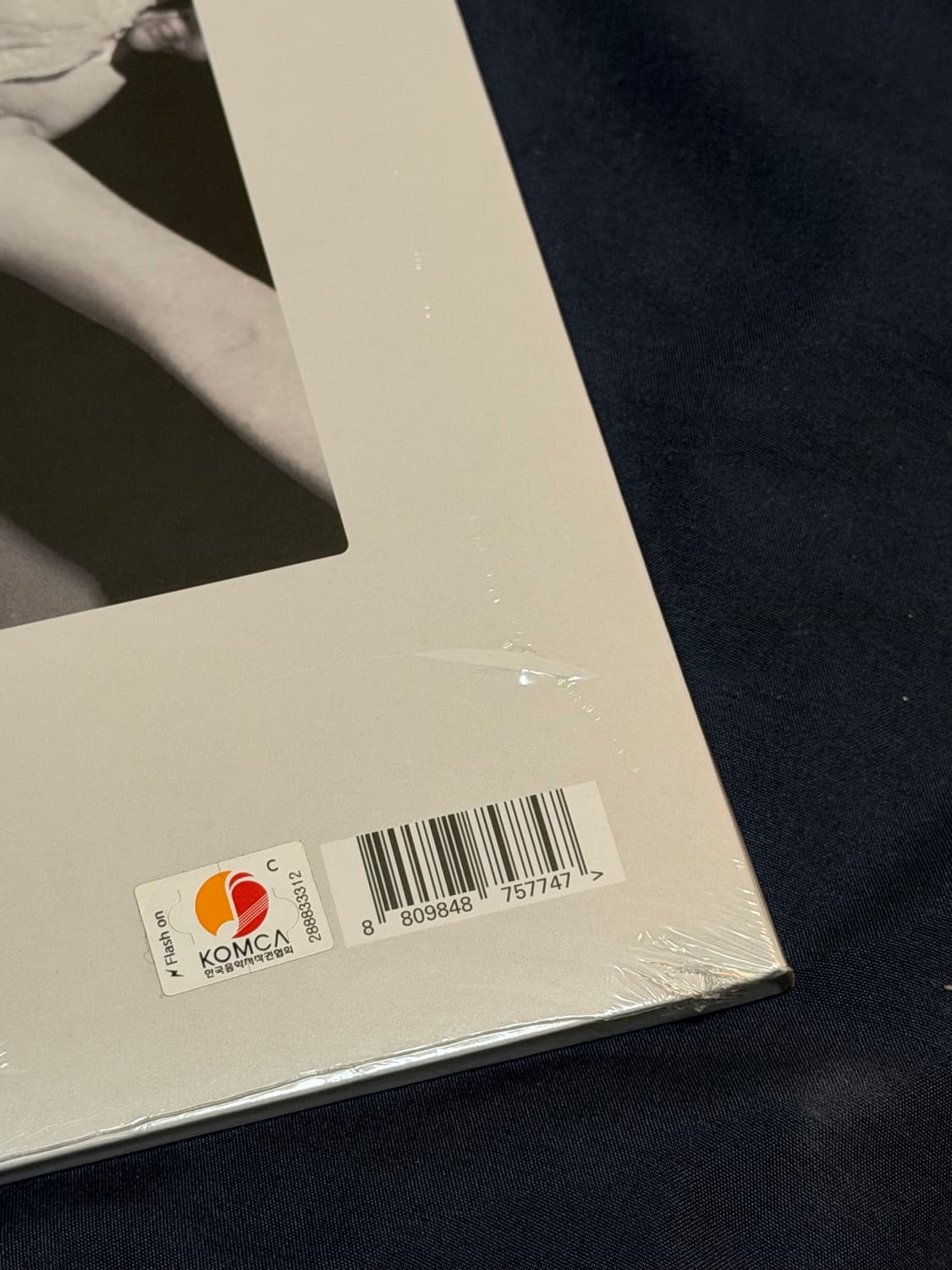 (미개봉)검정치마 떨스티 LP 상품이미지3