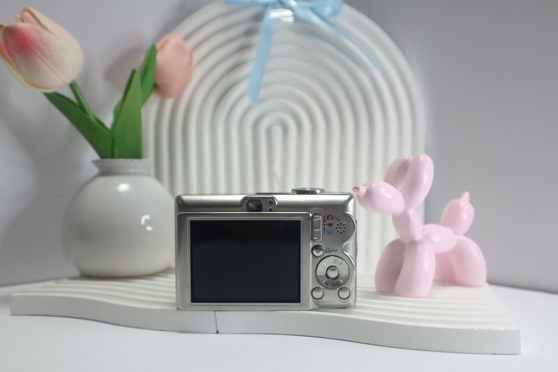 *인플루언서의 선택!!* 캐논 익시60 / 익서스55 상품이미지6