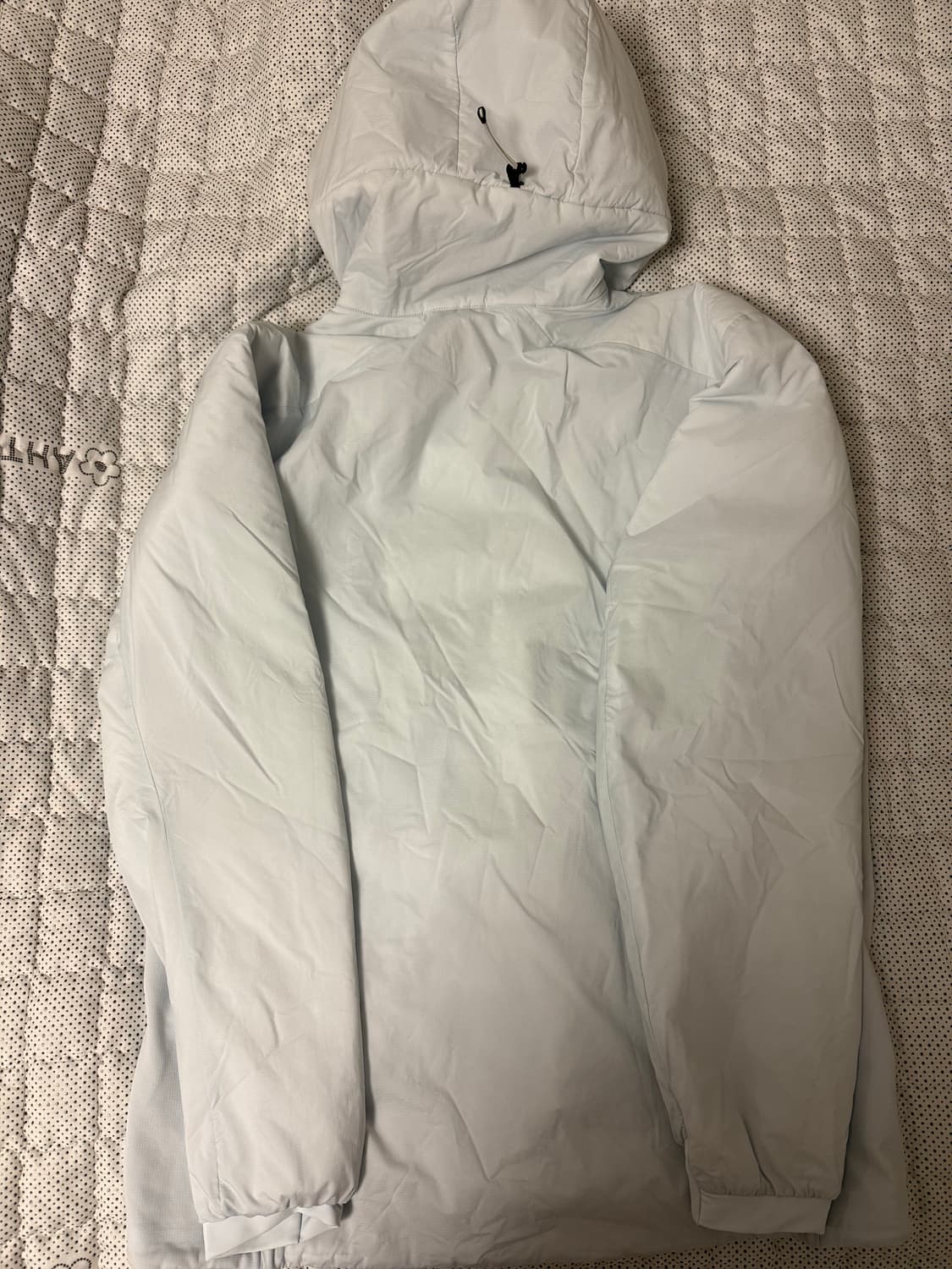 아크테릭스 아톰 후디 데이브레이크 상품이미지3