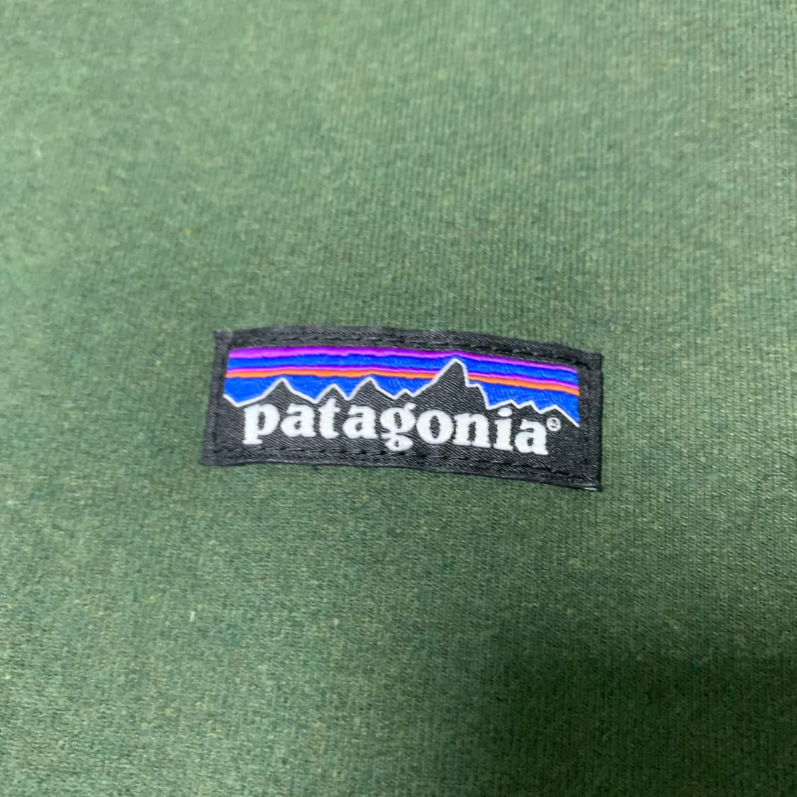 파타고니아 딥그린 맨투맨 상품이미지6
