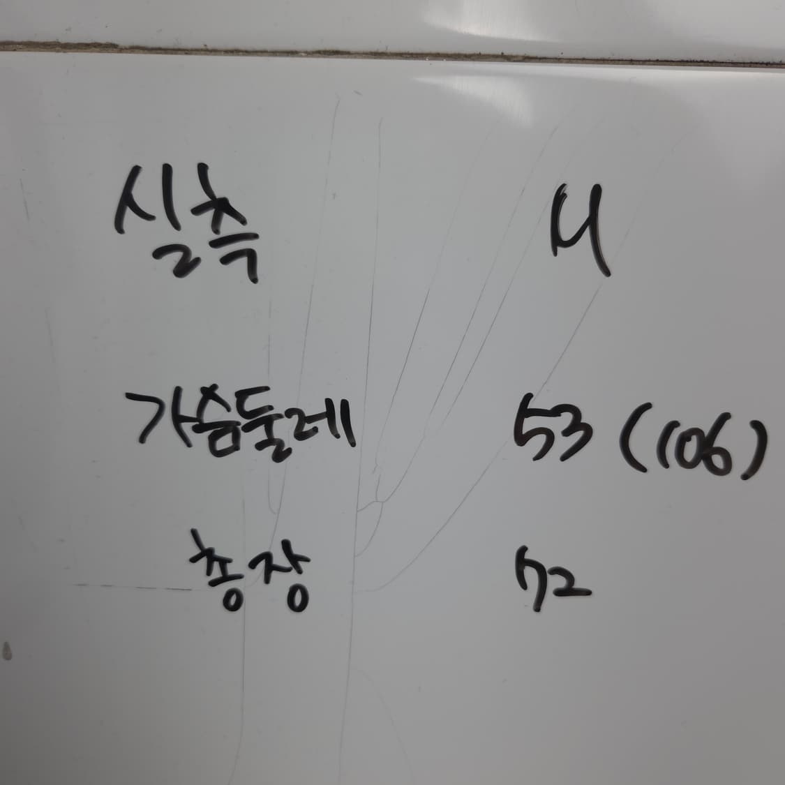 새상품) 남M 스투시 빌트 터프 테디베어 티셔츠 상품이미지6