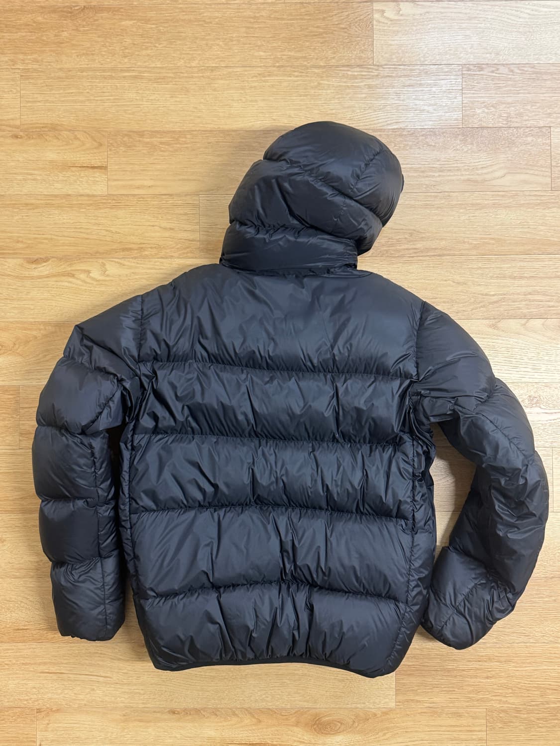 페더드프렌즈 헬리오스 구형 라지 사이즈 상품이미지2