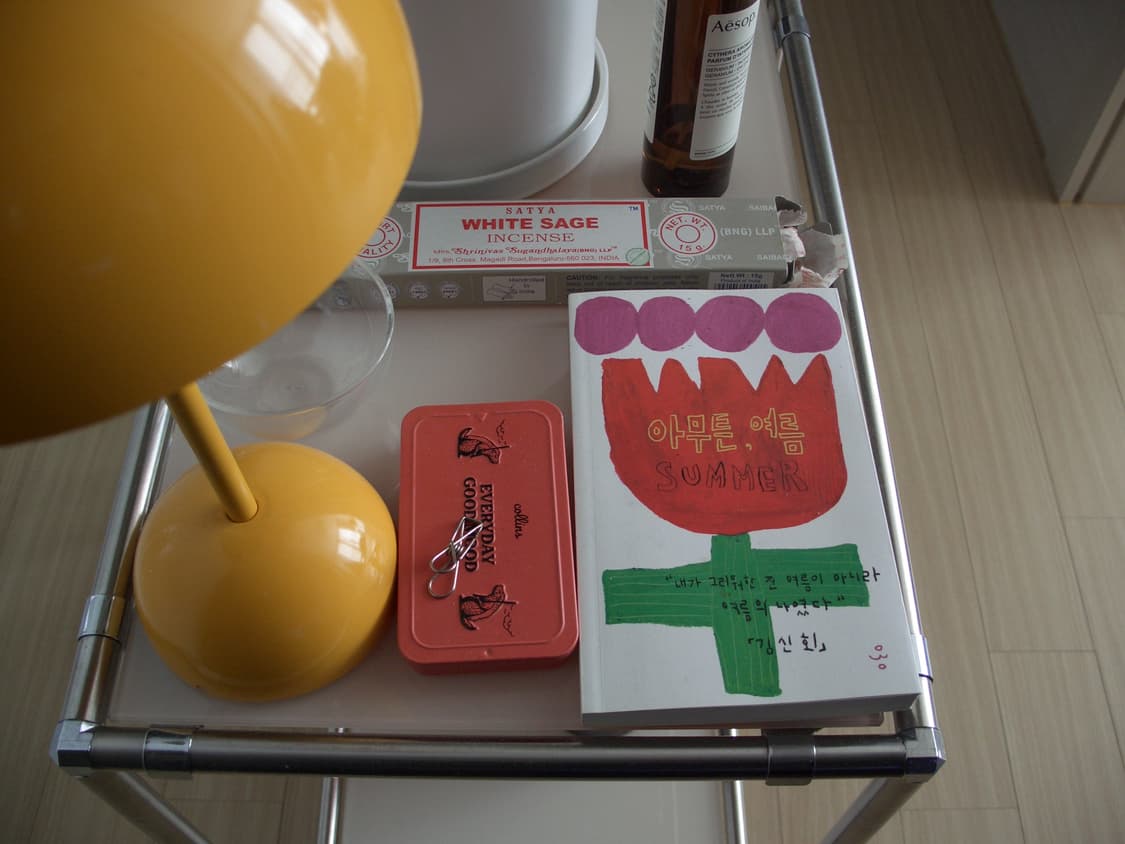 카시오 엑슬림 Casio EXILIM Pro EX-P600 빈티지 디카 상품이미지9