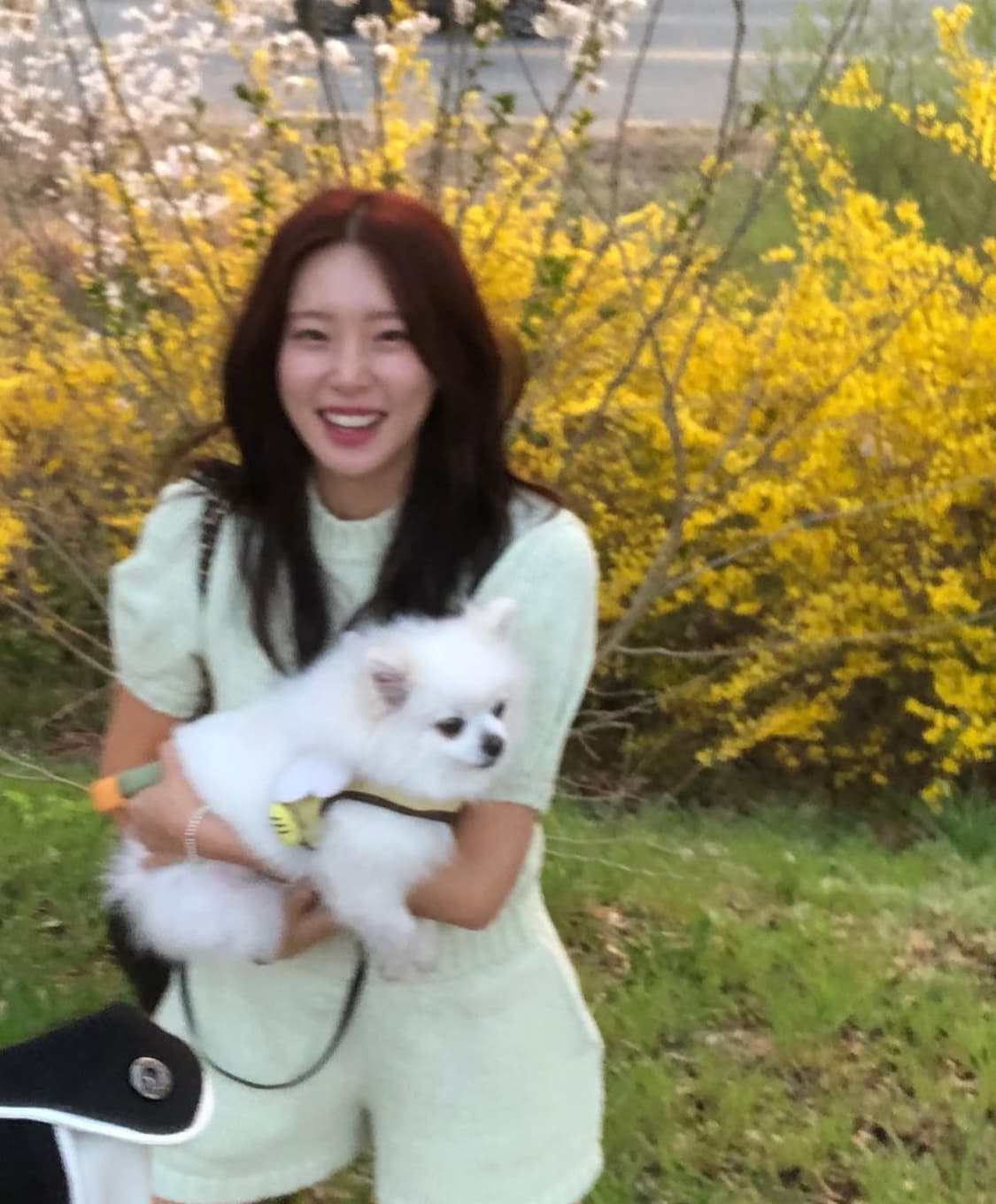 제이리움 셋업 상품이미지2