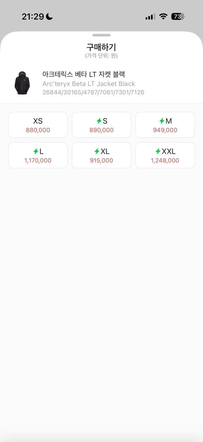 아크테릭스 베타 LT 상품이미지5