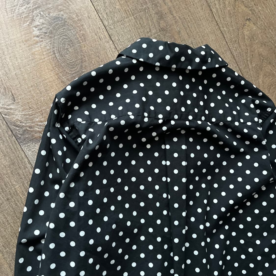Dot Round Collar Blouse  상품이미지9