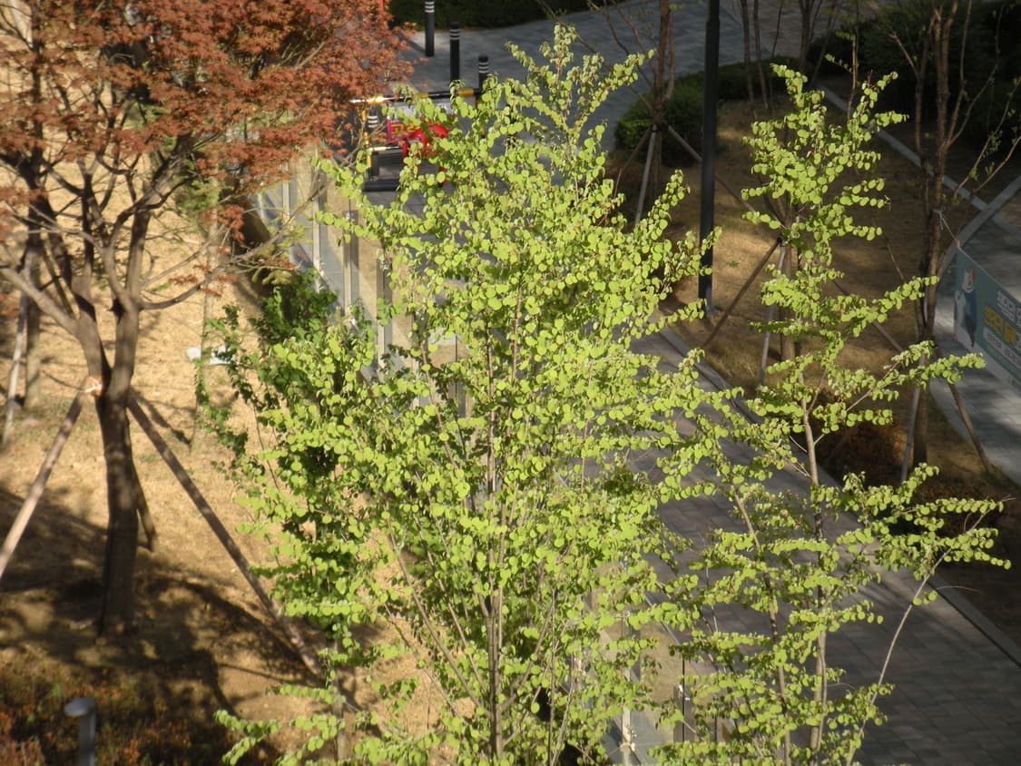 니콘 쿨픽스 S60 빈티지 디카 상품이미지3