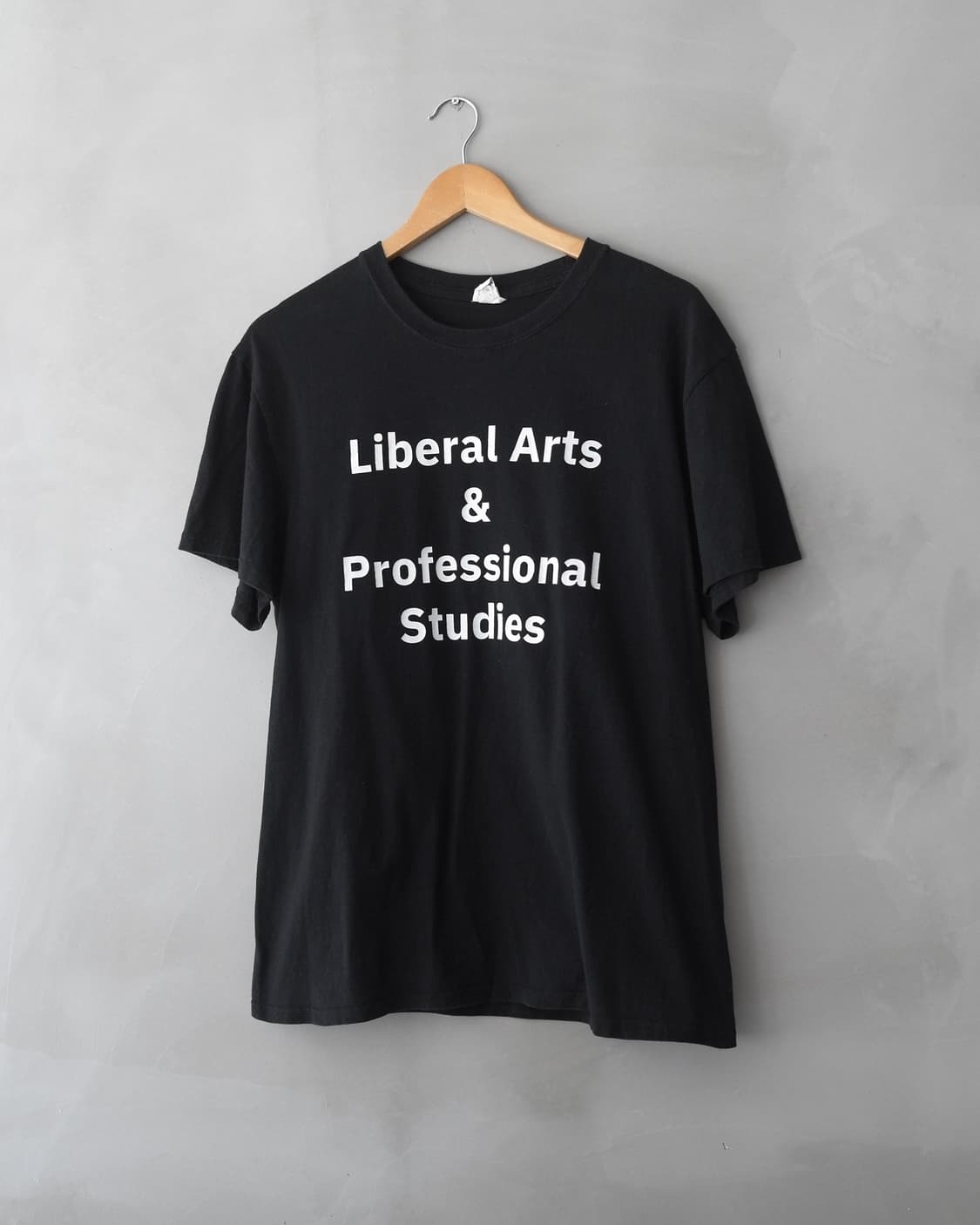 Liber Arts & Professional Studies 상품이미지1