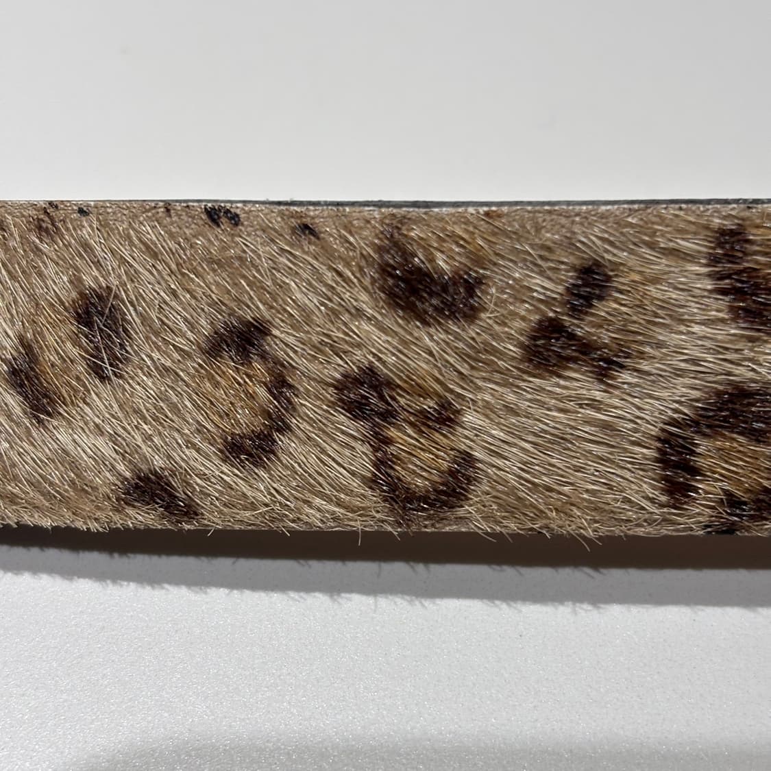 kapital 캐피탈 레오파드 송치 벨트 상품이미지4