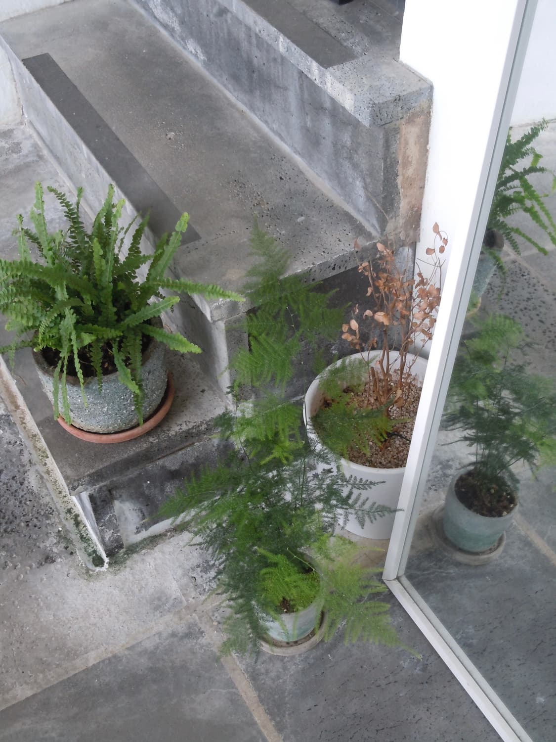 니콘 s6000 빈티지 디카 상품이미지2