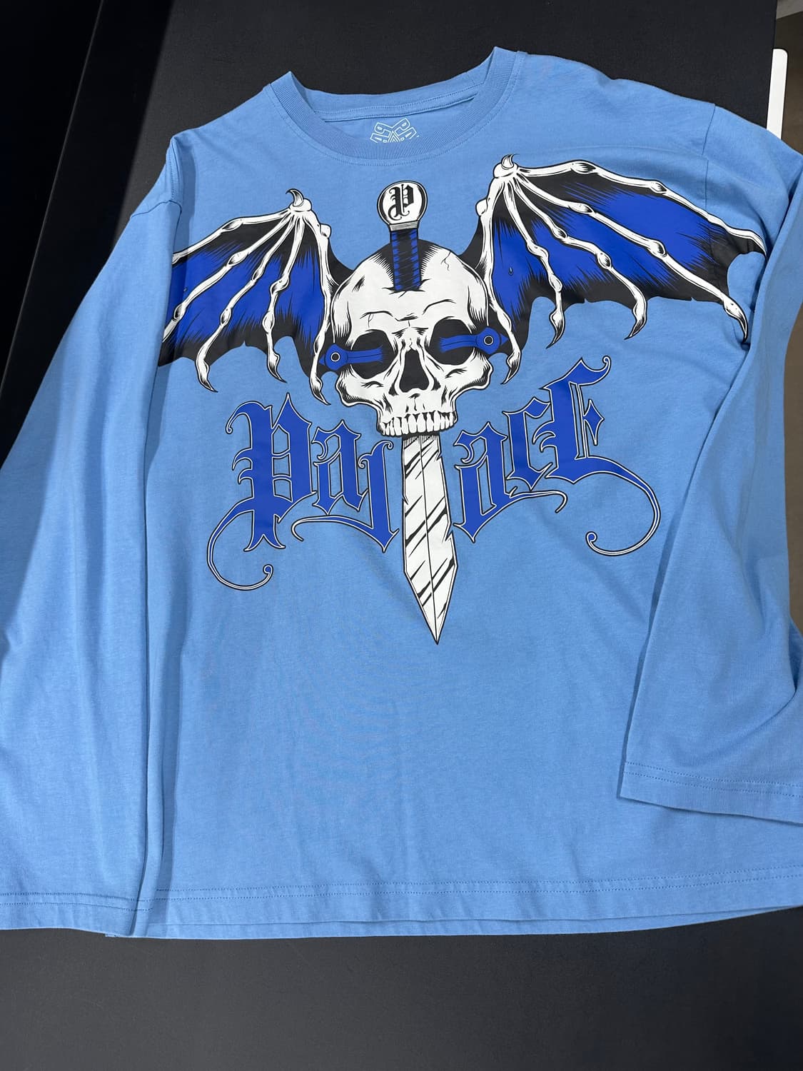 팔라스 25FW 윙스팬 롱슬리브 오션 블루 긴팔티 상품이미지4