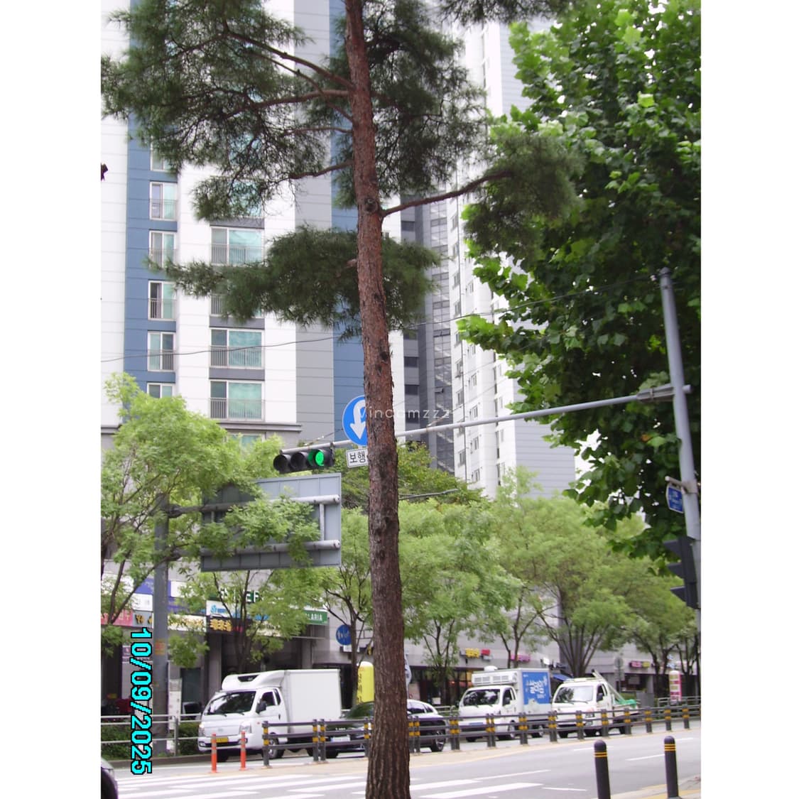 [풀박스] Minolta 미놀타 디마지 DiMAGE E500 상품이미지8