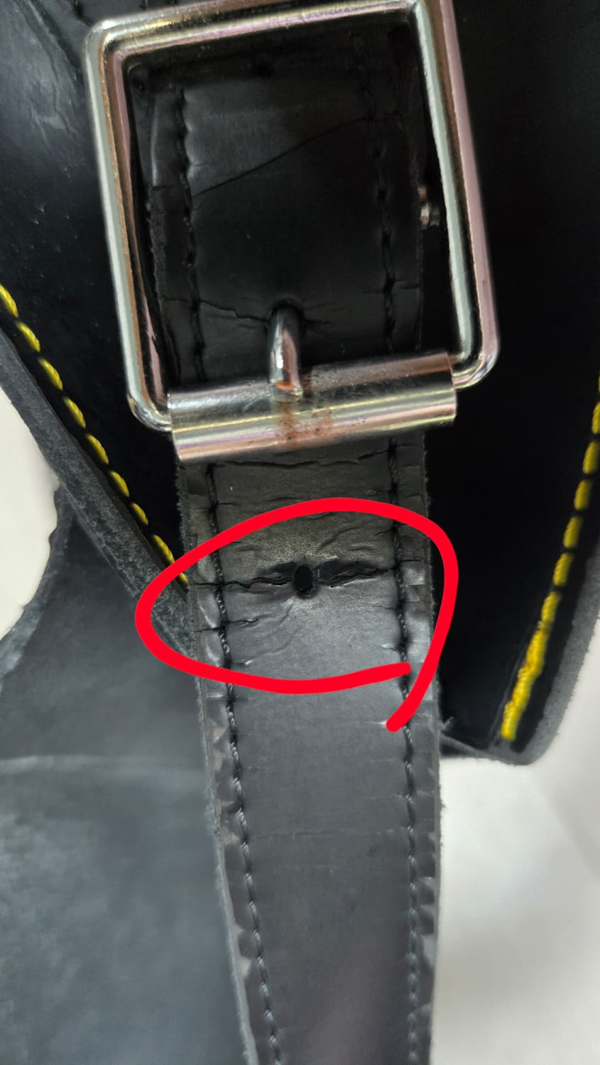 닥터마틴 테슬 레더백 상품이미지9