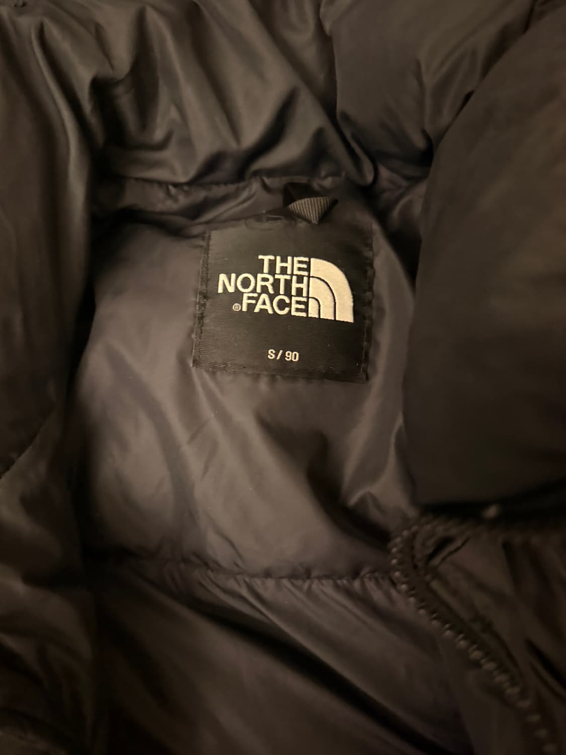 노스페이스 에코눕시 1996 패딩 상품이미지4