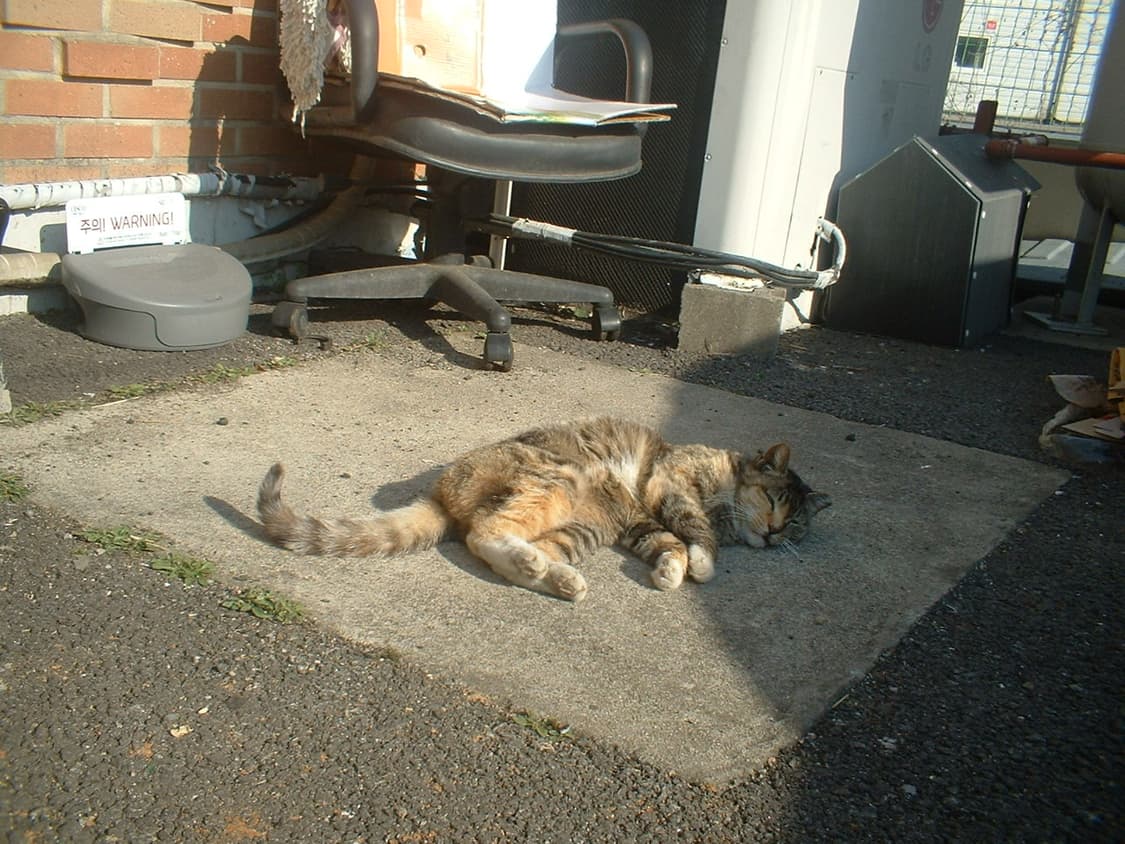 후지필름 파인픽스 a202   눈물의 급처.... 상품이미지1