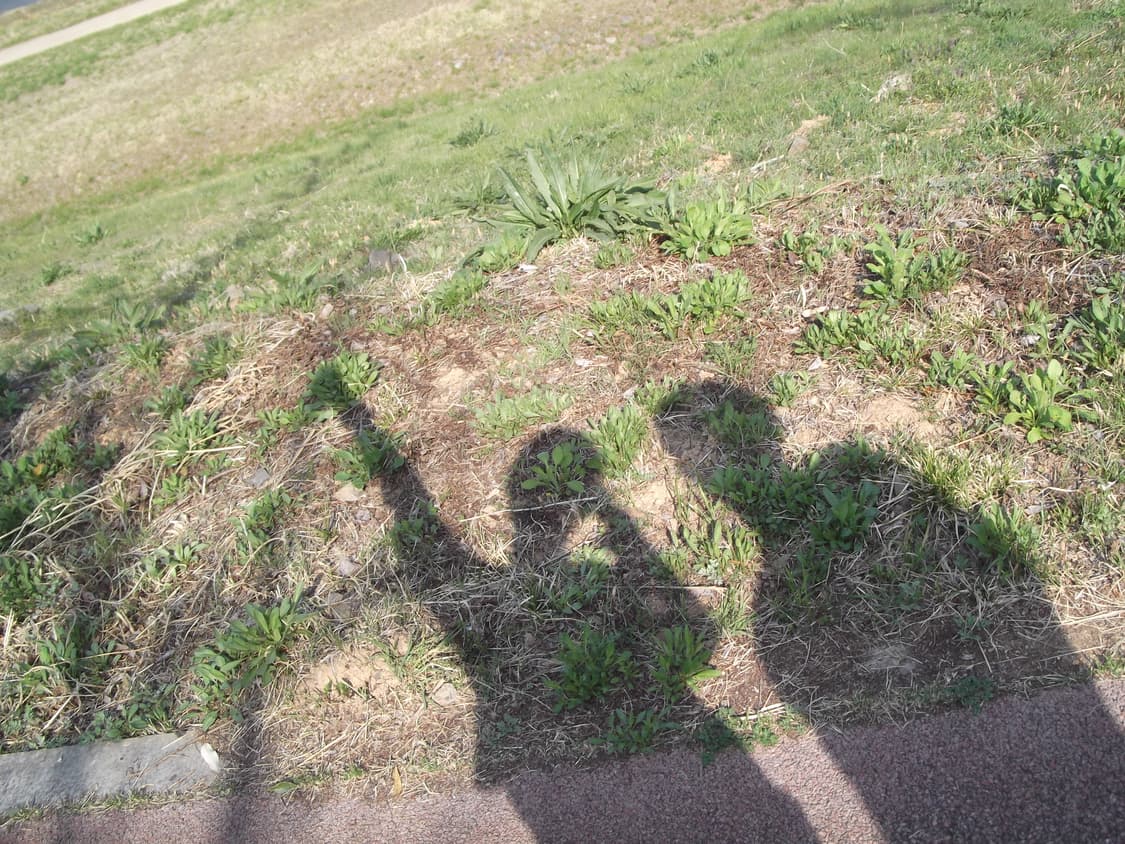 후지필름 파인픽스 JX280 디카 레드 (작례O) 상품이미지10